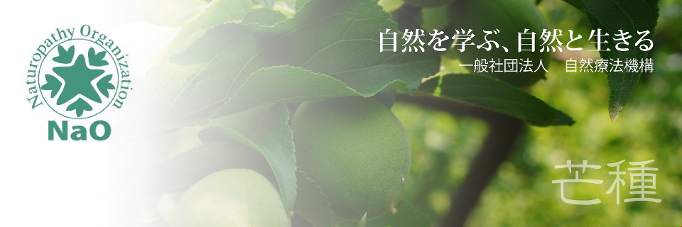 芒種